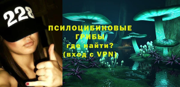 МДМА Няндома