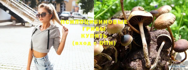 кокс Нязепетровск